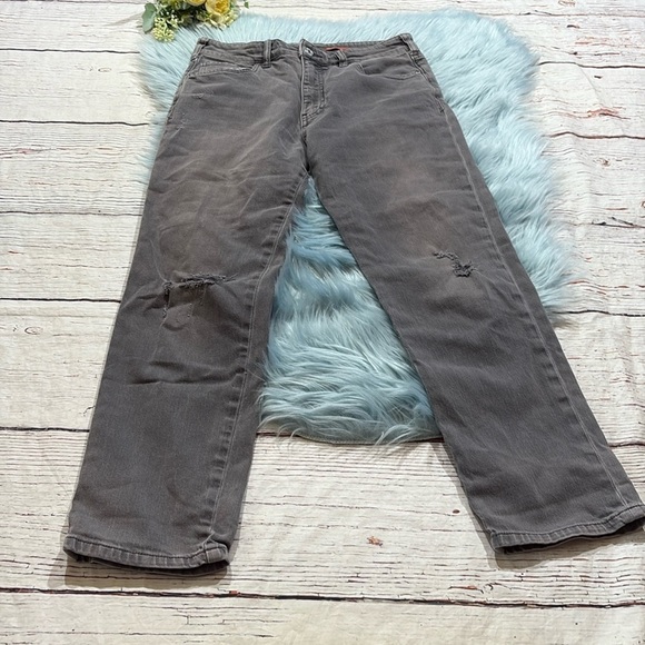 Anthropologie Pilcro The Borrowed Boyfriend Distressed Grey Jeans sz 26 - Picture 2 of 10